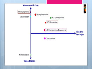 VASOPRESSORS AND INOTROPES USED IN ICU | PPTX