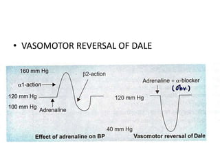 • VASOMOTOR REVERSAL OF DALE
 