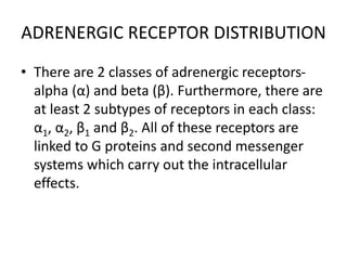 ADRENERGIC RECEPTOR DISTRIBUTION
• There are 2 classes of adrenergic receptors-
alpha (α) and beta (β). Furthermore, there are
at least 2 subtypes of receptors in each class:
α1, α2, β1 and β2. All of these receptors are
linked to G proteins and second messenger
systems which carry out the intracellular
effects.
 