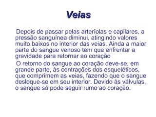 Veias Depois de passar pelas arteríolas e capilares, a pressão sanguínea diminui, atingindo valores muito baixos no interior das veias. Ainda a maior parte do sangue venoso tem que enfrentar a gravidade para retornar ao coração O retorno do sangue ao coração deve-se, em grande parte, às contrações dos esqueléticos, que comprimem as veias, fazendo que o sangue desloque-se em seu interior. Devido às válvulas, o sangue só pode seguir rumo ao coração. 