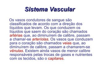 Sistema Vascular Os vasos condutores de sangue são classificados de acordo com a direção dos líquidos que levam. Os que conduzem os líquidos que saem do coração são chamados   artérias   que, ao diminuírem de calibre, passam a chamar-se   arteríolas .  Os vasos que conduzem para o coração são chamados   veias  que, ao diminuírem de calibre, passam a chamarem-se   vênulas .  Existem ainda vasos de menor calibre responsáveis pelas trocas de gases e nutrientes com os tecidos, são o  capilares . 