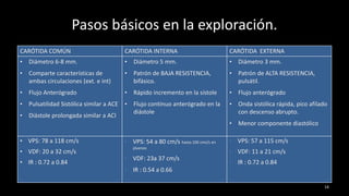 Pasos básicos en la exploración.
CARÓTIDA COMÚN CARÓTIDA INTERNA CARÓTIDA EXTERNA
• Diámetro 6-8 mm.
• Comparte características de
ambas circulaciones (ext. e int)
• Flujo Anterógrado
• Pulsatilidad Sistólica similar a ACE
• Diástole prolongada similar a ACI
• Diámetro 5 mm.
• Patrón de BAJA RESISTENCIA,
bifásico.
• Rápido incremento en la sístole
• Flujo continuo anterógrado en la
diástole
• Diámetro 3 mm.
• Patrón de ALTA RESISTENCIA,
pulsátil.
• Flujo anterógrado
• Onda sistólica rápida, pico afilado
con descenso abrupto.
• Menor componente diastólico
• VPS: 78 a 118 cm/s
• VDF: 20 a 32 cm/s
• IR : 0.72 a 0.84
• VPS: 54 a 80 cm/s hasta 100 cms/s en
jóvenes
• VDF: 23a 37 cm/s
• IR : 0.54 a 0.66
• VPS: 57 a 115 cm/s
• VDF: 11 a 21 cm/s
• IR : 0.72 a 0.84
14
 