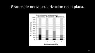 Grados de neovascularización en la placa.
34
 