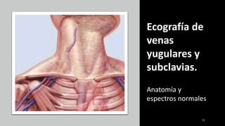 Ecografía de
venas
yugulares y
subclavias.
Anatomía y
espectros normales
71
 