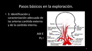 Pasos básicos en la exploración.
8
• 3. Identificación y
caracterización adecuada de
las arterias carótida externa
y de la carótida interna.
AM E
PL I
 