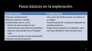 Pasos básicos en la exploración.
86
Carótida externa Carótida interna
Presenta ramificaciones.
Posición anterior y medial.
Características de su curva.
• Patrón de alta resistencia con
relativamente poco flujo de diastólico.
• Aparece más pulsátil con el Doppler
color.
• La muesca dicrota es más prominente
Pulsación temporal positiva
Otra rama de la bifurcación con bulbo en
su origen.
Posición posterior y trayecto angulado en
sentido posterior.
Onda menos pulsátil en el Doppler color
con flujo diastólico relativamente alto.
 