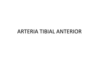 ARTERIA TIBIAL ANTERIOR
 