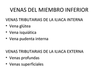 VENAS DEL MIEMBRO INFERIOR
VENAS TRIBUTARIAS DE LA ILIACA INTERNA
• Vena glútea
• Vena isquiática
• Vena pudenta interna
VENAS TRIBUTARIAS DE LA ILIACA EXTERNA
• Venas profundas
• Venas superficiales
 