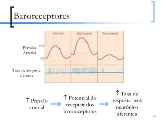 Baroreceptores


      Pressão
      Arterial


Taxa de resposta
    aferente



                                      ↑ Taxa de
                   ↑ Potencial do
       ↑ Pressão                    resposta nos
                    receptor dos      neurónios
        arterial
                   baroreceptores     aferentes    100
 