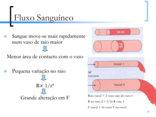 Fluxo Sanguíneo
  Sangue move-se mais rapidamente
  num vaso de raio maior

Menor àrea de contacto com o vaso

  Pequena variação no raio          ∆P
                                    constante


            R∝ 1/r4
                                    Raio vaso2 = 2 vezes raio do vaso 1
     Grande alteração em F
                                    R no vaso 2 = 1/16 R vaso 1
                                    F vaso2 = 16 vezes F no vaso1
                                                                          12
 