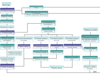 Hemorragia
                                                        ↑ Sede

 ↓ Volume de sangue
                                                    ↑ Vasopressina
                                           ↑ Renina-Angiotensina-Aldosterona
  ↓ Retorno venoso


↓ Volume por batida                                                   ↓ Actividade dos
                                                                       baroreceptores

↓ Rendimento cardíaco
                                                                      (através do centro                                                 ↑ Glóbulos vermelhos
                                                                        cardiovascular)
   ↓ Pressão arterial


                                                                                                                                       ↑Libertação de hormonas
   ↓ Pressão arterial     ↓ Actividade parassimpática    ↑Actividade simpática    ↑Actividade simpática    ↑Actividade simpática       que estimulam a produção
     nos capilares                no coração                  no coração                nas veias             nas arteríolas             de glóbulos vermelhos


    ↓ Ultrafiltração                                                                 ↑Vasoconstrição      ↑Vasoconstrição arteriolar
                                ↑ Ritmo cardíaco        ↑ Contracção cardíaca                                (excepto cérebro)
    ↑ Reabsorção                                                                         venosa
                                                                                                                                           ↑ Fluxo de sangue
                                                                                                                                                 renal
              ↑ Síntese de proteínas                     ↑ Volume por batida        ↑ Retorno venoso
              plasmáticas pelo fígado
                                                                                                          ↑Resistência periférica
 Transferências fluídas                                 ↑ Rendimento cardíaco                                                           ↑ Rendimento urinário
                                                                                                                  total
  do FI para o sangue



 ↑ Volume do plasma                                                                                                                       Conserva o volume
                                                                                   ↑ Pressão arterial                                         de plasma

                                                                                                                                                        121
 