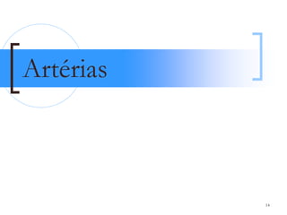 Artérias



           14
 