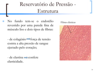 Reservatório de Pressão -
                 Estrutura
No fundo tem-se o endotélio            Fibras elásticas
revestido por uma parede fina de
músculo liso e dois tipos de fibras:

- de colagénio força de tensão
contra a alta pressão de sangue
ejectado pelo coração;

- de elastina   confere
elasticidade.

                                                          18
 
