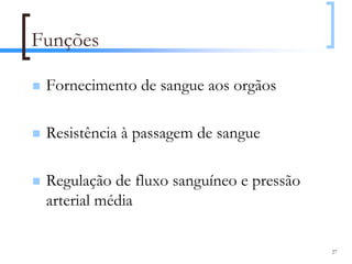 Funções

 Fornecimento de sangue aos orgãos

 Resistência à passagem de sangue

 Regulação de fluxo sanguíneo e pressão
 arterial média

                                          27
 