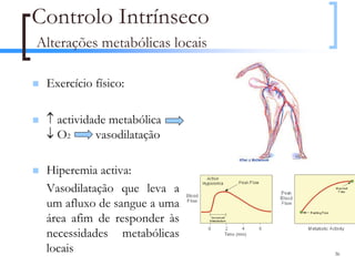 Controlo Intrínseco
Alterações metabólicas locais

 Exercício físico:

 ↑ actividade metabólica
 ↓ O2      vasodilatação

 Hiperemia activa:
 Vasodilatação que leva a
 um afluxo de sangue a uma
 área afim de responder às
 necessidades metabólicas
 locais                         36
 