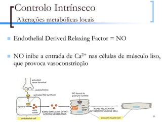 Controlo Intrínseco
 Alterações metabólicas locais

Endothelial Derived Relaxing Factor = NO

NO inibe a entrada de Ca2+ nas células de músculo liso,
que provoca vasoconstricção




                                                    39
 