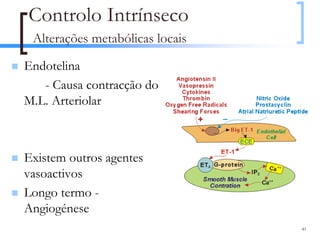 Controlo Intrínseco
 Alterações metabólicas locais

Endotelina
   - Causa contracção do
M.L. Arteriolar



Existem outros agentes
vasoactivos
Longo termo -
Angiogénese
                                 41
 