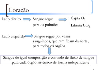Coração
Lado direito      Sangue segue           Capta O2
                  para os pulmões        Liberta CO2

Lado esquerdo      Sangue segue por vasos
                  sanguíneos, que ramificam da aorta,
                  para todos os órgãos

Sangue de igual composição e controlo de fluxo de sangue
     para cada órgão sistémico de forma independente
                                                        5
 