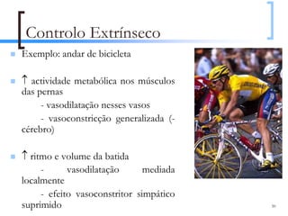 Controlo Extrínseco
Exemplo: andar de bicicleta

↑ actividade metabólica nos músculos
das pernas
     - vasodilatação nesses vasos
     - vasoconstricção generalizada (-
cérebro)

↑ ritmo e volume da batida
     -      vasodilatação      mediada
localmente
     - efeito vasoconstritor simpático
suprimido                                50
 