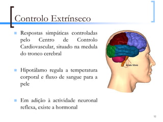 Controlo Extrínseco
 Respostas simpáticas controladas
 pelo    Centro      de   Controlo
 Cardiovascular, situado na medula
 do tronco cerebral

 Hipotálamo regula a temperatura
 corporal e fluxo de sangue para a
 pele

 Em adição à actividade neuronal
 reflexa, existe a hormonal
                                     52
 