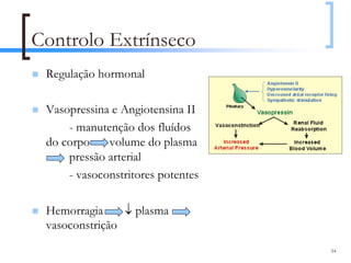 Controlo Extrínseco
 Regulação hormonal

 Vasopressina e Angiotensina II
     - manutenção dos fluídos
 do corpo    volume do plasma
     pressão arterial
     - vasoconstritores potentes

 Hemorragia     ↓ plasma
 vasoconstrição
                                   54
 
