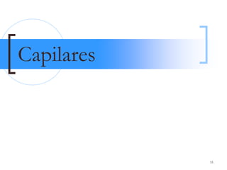 Capilares



            55
 