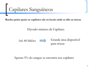 Capilares Sanguíneos
Razões pelas quais os capilares são os locais onde se dão as trocas


                   Elevado número de Capilares


           Até 40 biliões               Grande área disponível
                                        para trocas



       Apenas 5% do sangue se encontra nos capilares

                                                                      59
 