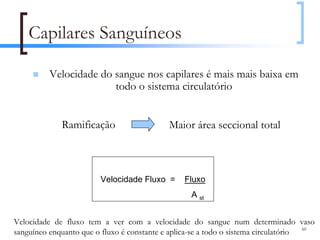 Capilares Sanguíneos

          Velocidade do sangue nos capilares é mais mais baixa em
                        todo o sistema circulatório


             Ramificação                    Maior área seccional total



                         Velocidade Fluxo =      Fluxo
                                                   A st


Velocidade de fluxo tem a ver com a velocidade do sangue num determinado vaso
                                                                                     60
sanguíneo enquanto que o fluxo é constante e aplica-se a todo o sistema circulatório
 