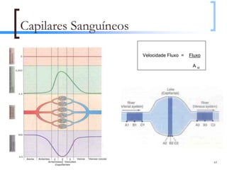 Capilares Sanguíneos

                       Velocidade Fluxo =   Fluxo

                                             A st




                                                    61
 
