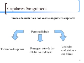 Capilares Sanguíneos
       Trocas de materiais nos vasos sanguíneos capilares



                      Permeabilidade




                                              Vesículas
Tamanho dos poros    -Passagem  através das
                                              endocíticas -
                     células do endotélio
                                              exocíticas
                                                              62
 