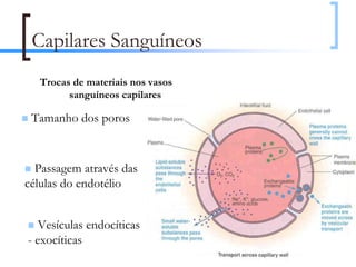 Capilares Sanguíneos
  Trocas de materiais nos vasos
        sanguíneos capilares

 Tamanho dos poros



  Passagem através das
células do endotélio


   Vesículas endocíticas
- exocíticas
                                  63
 