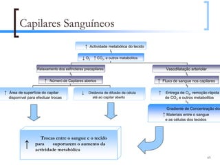 Capilares Sanguíneos
                                                 ↑ Actividade metabólica do tecido

                                              ↓ O2 ↑ CO2, e outros metabolitos

                  Relaxamento dos esfíncteres precapilares                                Vasodilatação arteriolar

                       ↑   Número de Capilares abertos                               ↑   Fluxo de sangue nos capilares


↑ Área de superfície do capilar              ↓    Distância de difusão da célula     ↑ Entrega de O2, remoção rápida
  disponível para efectuar trocas                   até ao capilar aberto                 de CO2 e outros metabolitos

                                                                                           Gradiente de Concentração dos
                                                                                         ↑ Materiais entre o sangue
                                                                                          e as células dos tecidos



                    Trocas entre o sangue e o tecido
           ↑     para     suportarem o aumento da
                 actividade metabólica
                                                                                                                     65
 
