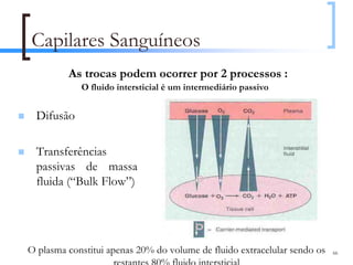 Capilares Sanguíneos
         As trocas podem ocorrer por 2 processos :
            O fluido intersticial é um intermediário passivo


  Difusão

  Transferências
  passivas de massa
  fluida (“Bulk Flow”)




O plasma constitui apenas 20% do volume de fluido extracelular sendo os   66

                     restantes 80% fluido intersticial
 
