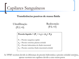 Capilares Sanguíneos
               Transferências passivas de massa fluida


          Ultrafiltração                                -Reabsorção
            (P.L>0)                                         (P.L<0)

                Pressão líquida = (Pc + πif ) – (πp+ Pif)

                Pc – Pressão sanguínea capilar
                πp – Pressão osmótica plasma-coloidal
                Pif – Pressão hidrostática do fluído intersticial
                πif – Pressão osmótica fluido intersticial-coloidal


As TPMF ocorrem devido ás diferenças de pressão hidrostática e pressão coloidal osmótica, e
                                                                                   67
               apenas ocorrem nos capilares devido a estes terem poros
 