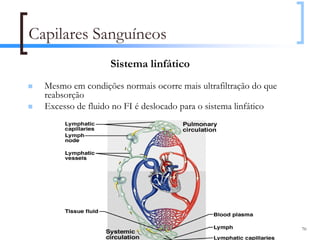 Capilares Sanguíneos
                   Sistema linfático
  Mesmo em condições normais ocorre mais ultrafiltração do que
  reabsorção
  Excesso de fluido no FI é deslocado para o sistema linfático




                                                                 70
 