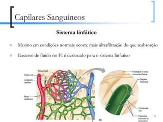 Capilares Sanguíneos
                    Sistema linfático

Mesmo em condições normais ocorre mais ultrafiltração do que reabsorção

Excesso de fluido no FI é deslocado para o sistema linfático




                                                                    71
 