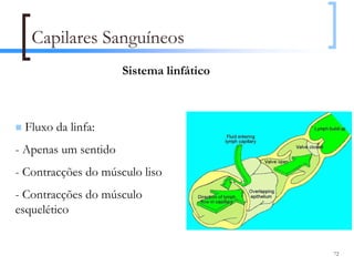 Capilares Sanguíneos
                      Sistema linfático



 Fluxo da linfa:
- Apenas um sentido
- Contracções do músculo liso
- Contracções do músculo
esquelético


                                          72
 