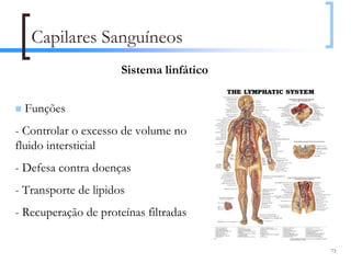 Capilares Sanguíneos
                      Sistema linfático


  Funções
- Controlar o excesso de volume no
fluido intersticial
- Defesa contra doenças
- Transporte de lipidos
- Recuperação de proteínas filtradas

                                          73
 