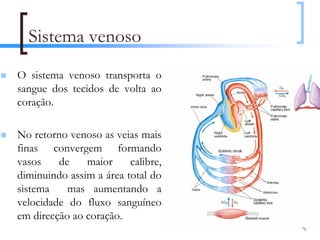 Sistema venoso
O sistema venoso transporta o
sangue dos tecidos de volta ao
coração.

No retorno venoso as veias mais
finas convergem formando
vasos    de    maior     calibre,
diminuindo assim a área total do
sistema    mas aumentando a
velocidade do fluxo sanguíneo
em direcção ao coração.
                                    76
 