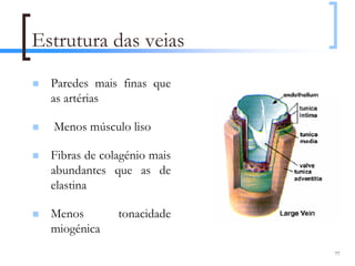Estrutura das veias
  Paredes mais finas que
  as artérias

  Menos músculo liso

  Fibras de colagénio mais
  abundantes que as de
  elastina

  Menos        tonacidade
  miogénica
                             77
 