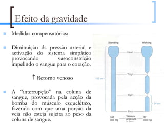 Efeito da gravidade
Medidas compensatórias:

Diminuição da pressão arterial e
activação do sistema simpático
provocando         vasoconstrição
impelindo o sangue para o coração.

        ↑ Retorno venoso

A “interrupção” na coluna de
sangue, provocada pela acção da
bomba do músculo esquelético,
fazendo com que uma porção da
veia não esteja sujeita ao peso da   86
coluna de sangue.
 
