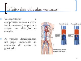 Efeito das válvulas venosas
Vasoconstrição           e
compressão venosa externa
(acção muscular) impelem o
sangue em direcção ao
coração.

As válvulas desempenham
um papel importante no
contrariar do efeito da
gravidade.


                                87
 