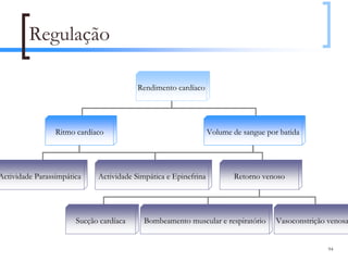 Regulação

                                         Rendimento cardíaco




                 Ritmo cardíaco                                  Volume de sangue por batida




Actividade Parassimpática    Actividade Simpática e Epinefrina          Retorno venoso




                       Sucção cardíaca     Bombeamento muscular e respiratório       Vasoconstrição venosa


                                                                                                    94
 