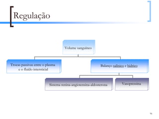 Regulação


                                    Volume sanguíneo



Trocas passivas entre o plasma                              Balanço salínico e hídrico
     e o fluído intersticial



                          Sistema renina-angiotensina-aldosterona          Vasopressina




                                                                                          96
 