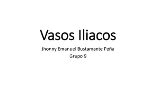Vasos Iliacos
Jhonny Emanuel Bustamante Peña
Grupo 9
 