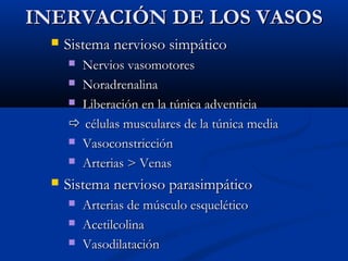 INERVACIÓN DE LOS VASOS


Sistema nervioso simpático
Nervios vasomotores
 Noradrenalina
 Liberación en la túnica adventicia
 células musculares de la túnica media
 Vasoconstricción
 Arterias > Venas




Sistema nervioso parasimpático




Arterias de músculo esquelético
Acetilcolina
Vasodilatación

 