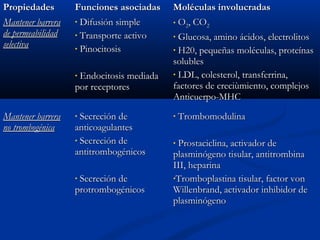 Propiedades
Mantener barrera
de permeabilidad
selectiva

Funciones asociadas
• Difusión simple
• Transporte activo
• Pinocitosis
Endocitosis mediada
por receptores
•

Mantener barrera
no trombogénica

Secreción de
anticoagulantes
• Secreción de
antitrombogénicos
•

Secreción de
protrombogénicos
•

Moléculas involucradas
• O2, CO2
Glucosa, amino ácidos, electrolitos
• H20, pequeñas moléculas, proteínas
solubles
• LDL, colesterol, transferrina,
factores de creciùmiento, complejos
Anticuerpo-MHC
•

•

Trombomodulina

Prostaciclina, activador de
plasminógeno tisular, antitrombina
III, heparina
•Tromboplastina tisular, factor von
Willenbrand, activador inhibidor de
plasminógeno
•

 