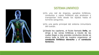 SISTEMA LINFATICO
 Es una red de órganos, ganglios linfáticos,
conductos y vasos linfáticos que producen y
transportan linfa desde los tejidos hasta el
torrente sanguíneo.
 Es una parte principal del sistema inmunitario
del cuerpo.
 Desde los capilares, el fluido llamado linfa, se
dirige a las venas linfáticas a través de las
cuales llegan a dos grandes conductos donde se
drena toda la linfa de nuestro organismo: el
conducto linfático derecho y el conducto
torácico.
 