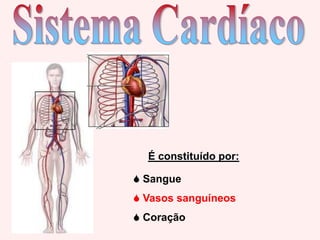 Sistema CardíacoÉ constituído por: Sangue