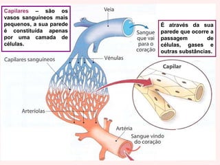 ArtériasArtérias - são vasos que levam o sangue do coração para todas as partes do corpo. Têm paredes fortes, espessas e elásticas.